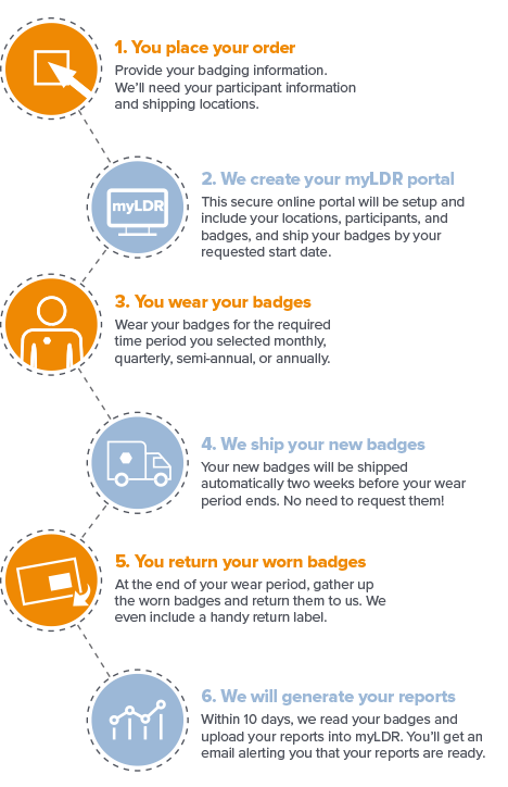 6 step process infographic