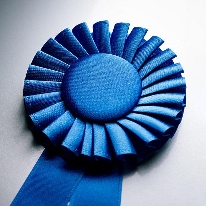 Image of ribbon representing successful accreditation for radiation monitoring