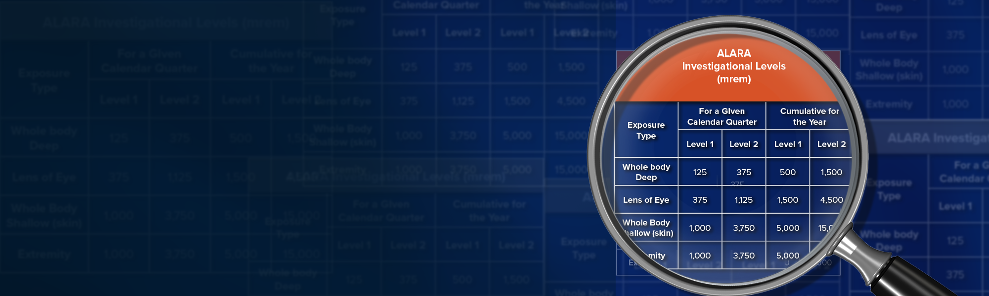Manager reviewing employee data to confirm radiation dose levels